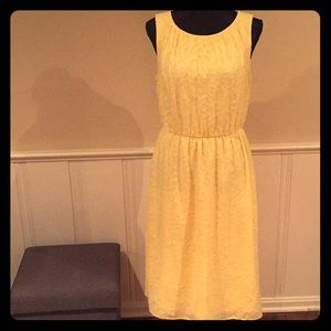 Christopher & Banks yellow spring dress